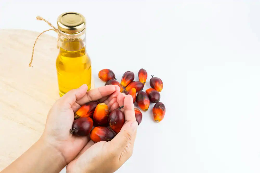 Palm Oil Benefits for Skin
