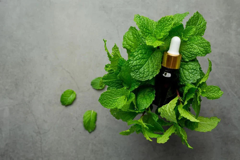 Peppermint Oil on Face: Benefits, Risks & How to Use It Safely - Sweet Bee Naturals