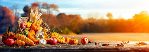 The Season For Giving Thanks - Sweet Bee Naturals