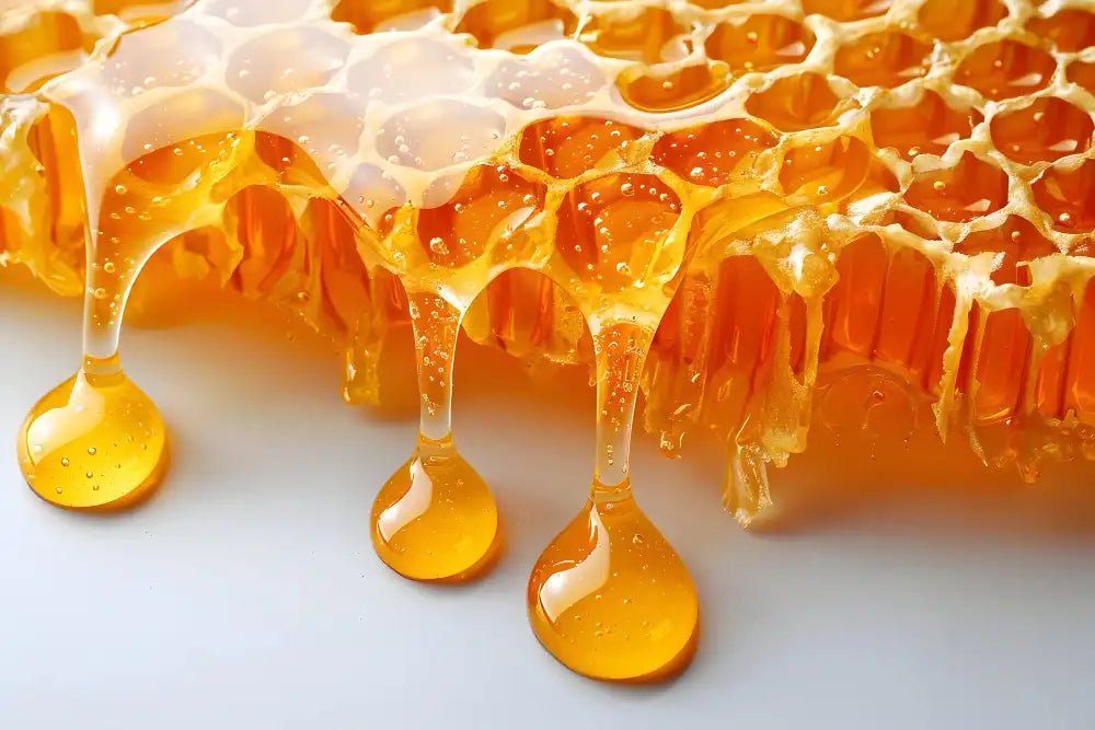 Top 7 Benefits of Honeycomb You Should Know - Sweet Bee Naturals